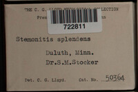 Image Associated With the Occurence